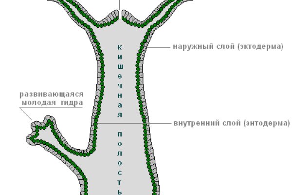 Kraken 16 at сайт