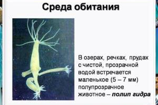 Кракен купить гашиш